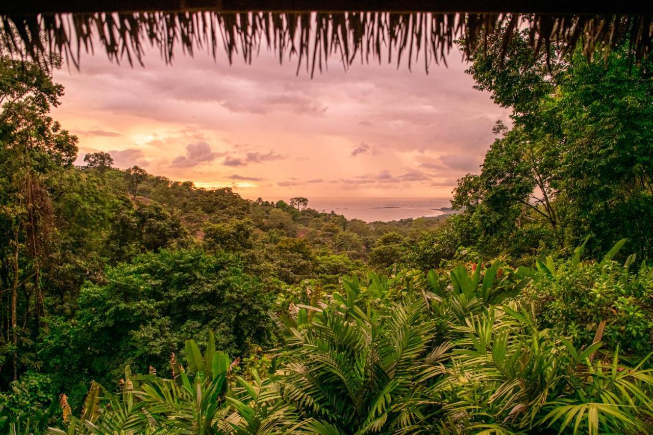 Selva Armonia Immersive Jungle Resort Uvita Kültér fotó